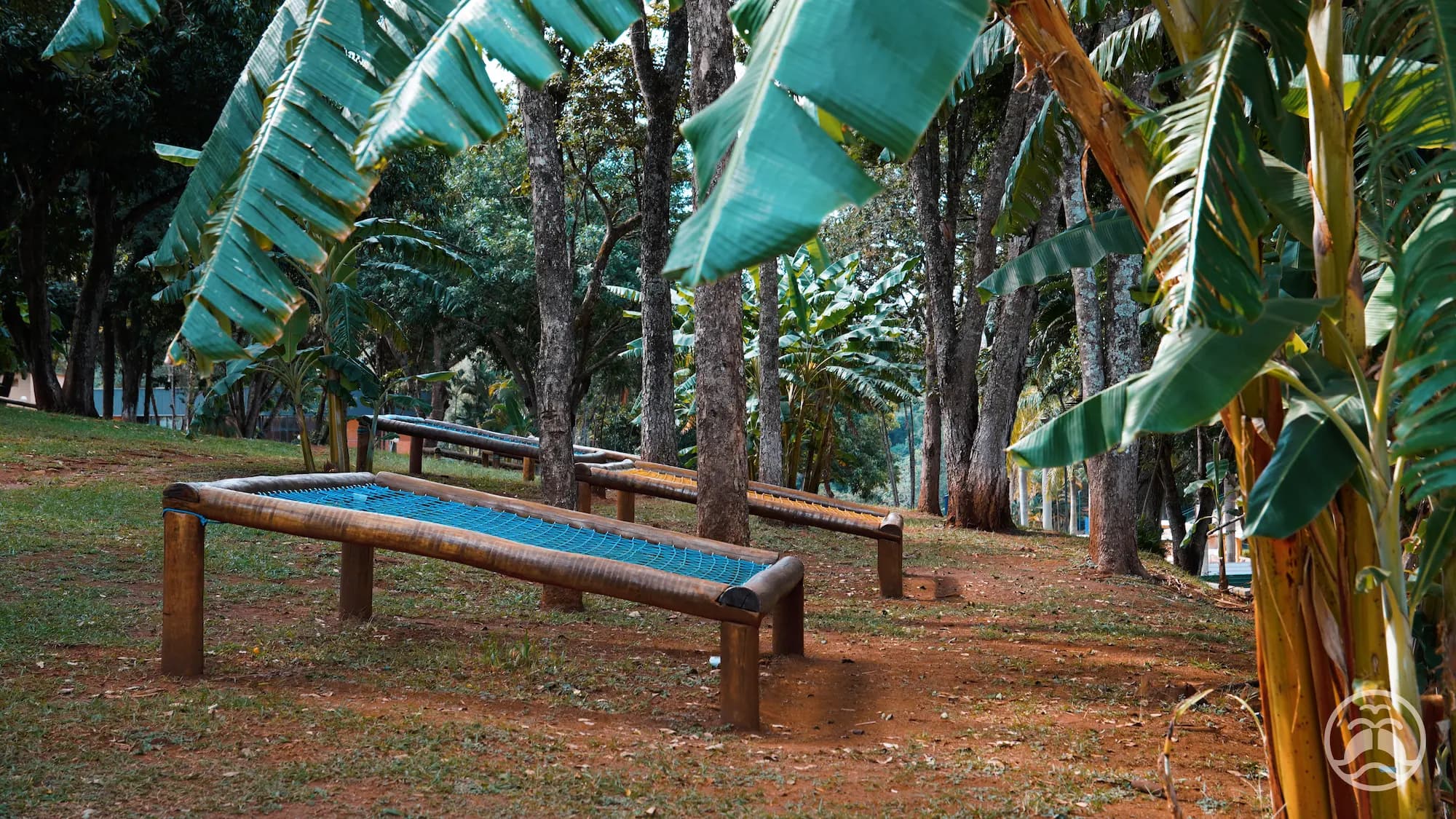 Redário do clube montado sob árvores em área sombreada e aberta.